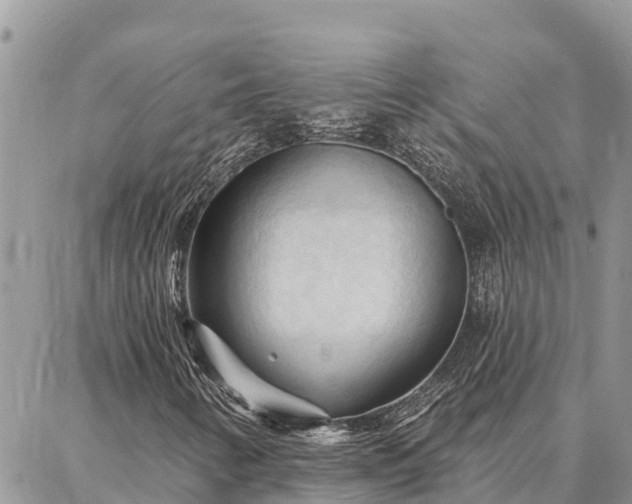 X0000086901346200704231143