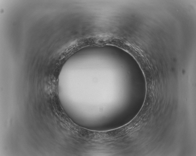 X0000086901349200704231143