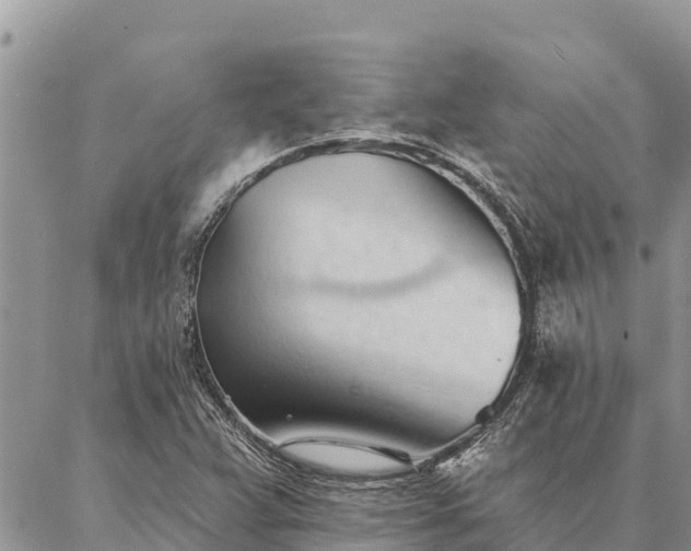 X0000086901359200704231143