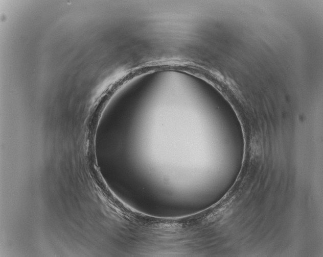 X0000086901406200704231141