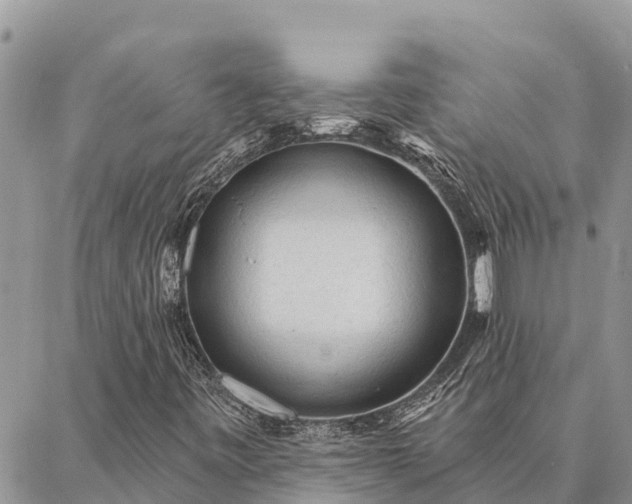 X0000086901443200704231141