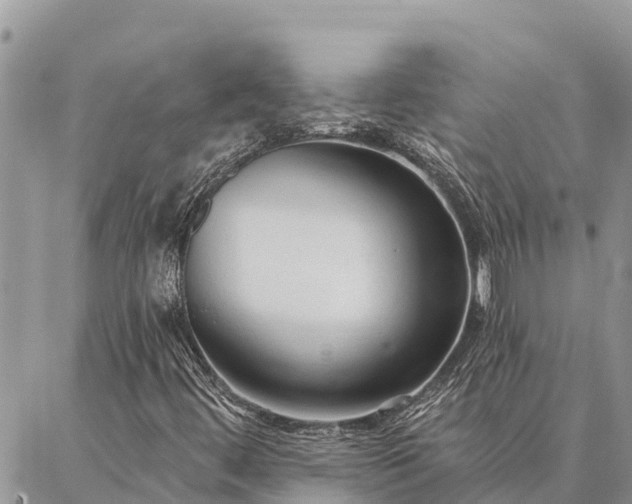 X0000086901444200704231141