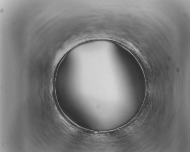 X0000086901512200704231140