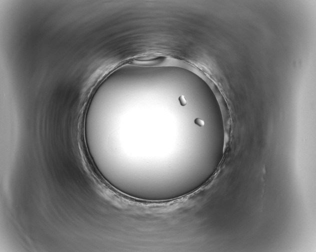 X0000086900001200704301026