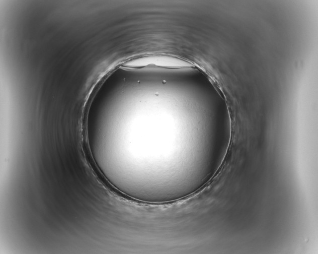 X0000086900002200704301026