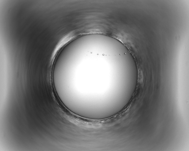 X0000086900004200704301026