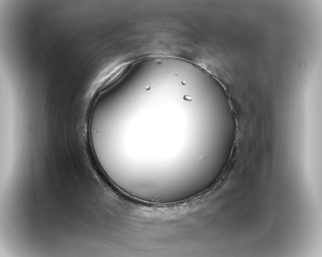 X0000086900005200704301026