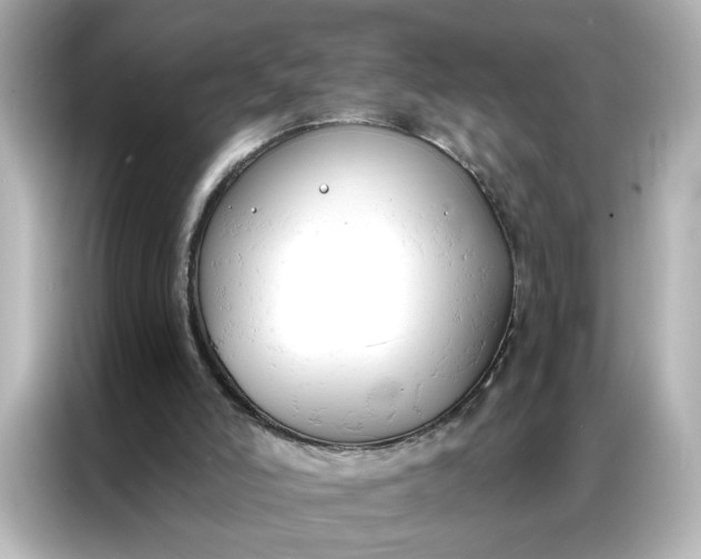 X0000086900006200704301026