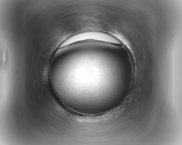 X0000086900009200704301026