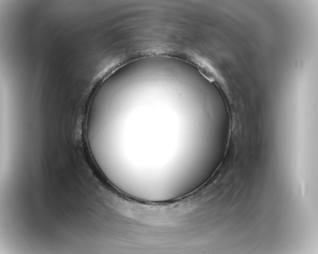 X0000086900010200704301026