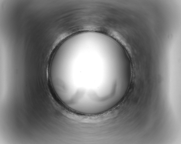 X0000086900011200704301026