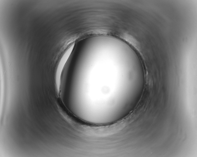 X0000086900013200704301026