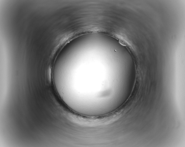 X0000086900014200704301026