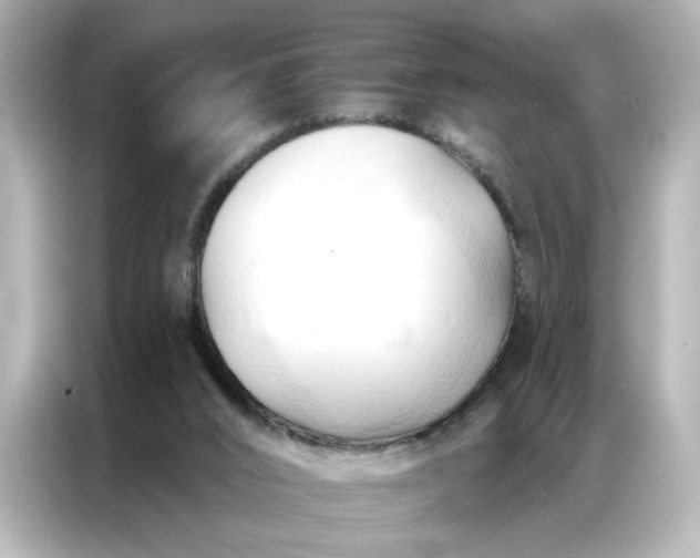 X0000086900016200704301026