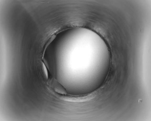 X0000086900017200704301026