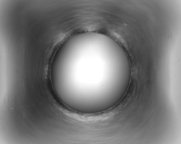 X0000086900018200704301026