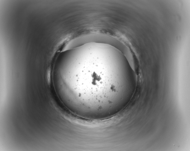 X0000086900019200704301026