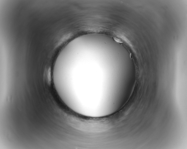 X0000086900020200704301026