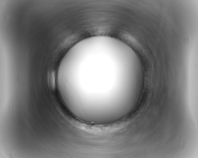 X0000086900022200704301026