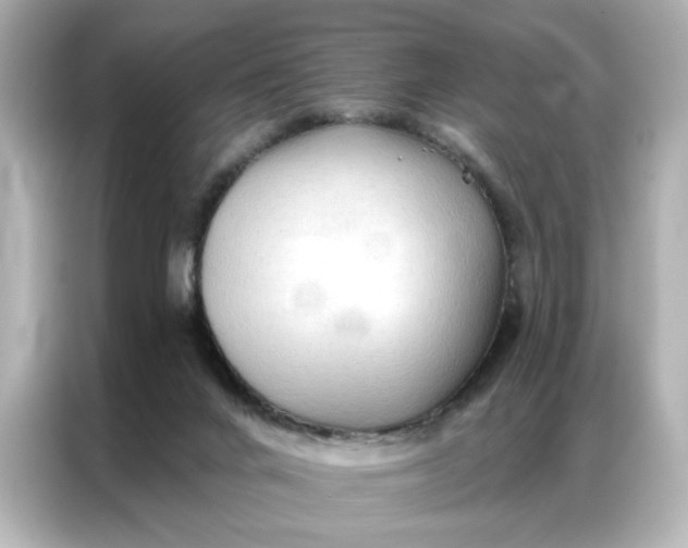 X0000086900024200704301026