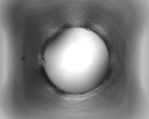 X0000086900025200704301026