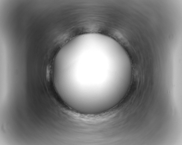 X0000086900026200704301026