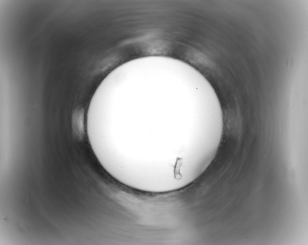 X0000086900028200704301026