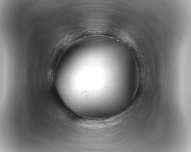 X0000086900029200704301026