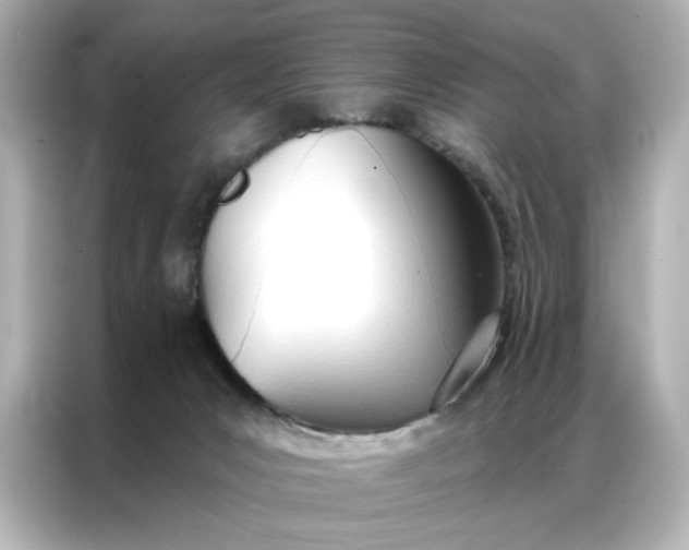 X0000086900031200704301026