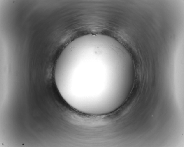 X0000086900032200704301026