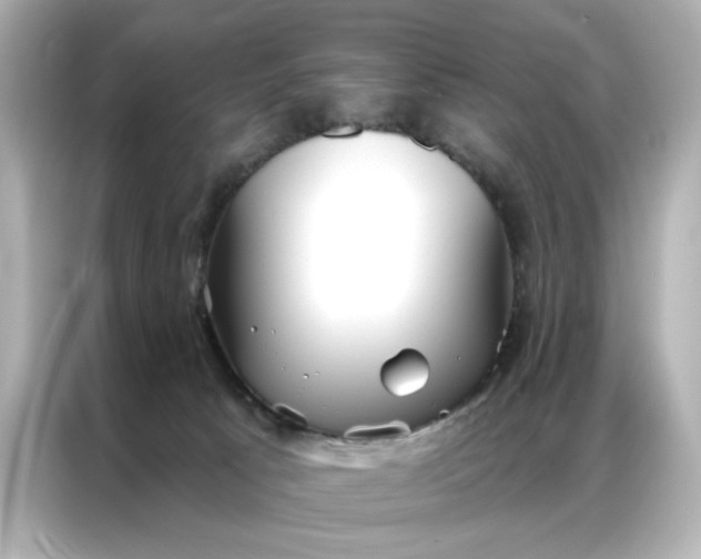 X0000086900033200704301026