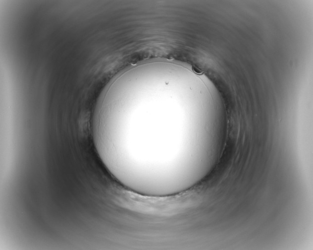 X0000086900034200704301026