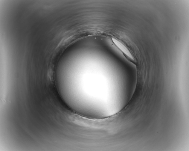 X0000086900035200704301026