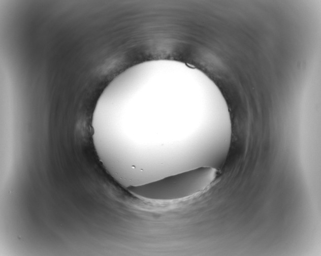 X0000086900037200704301026