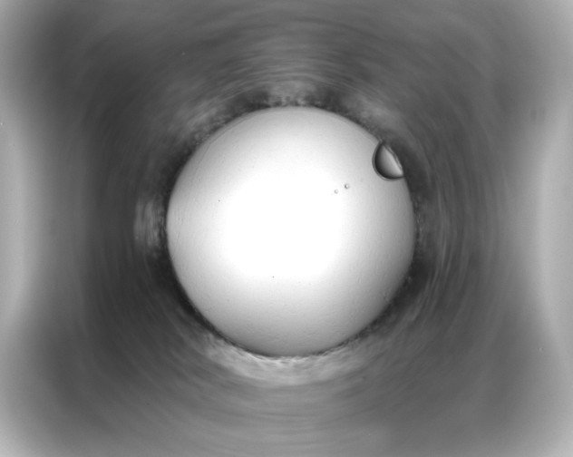 X0000086900038200704301026