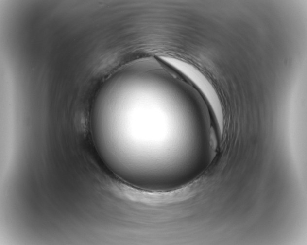 X0000086900039200704301026