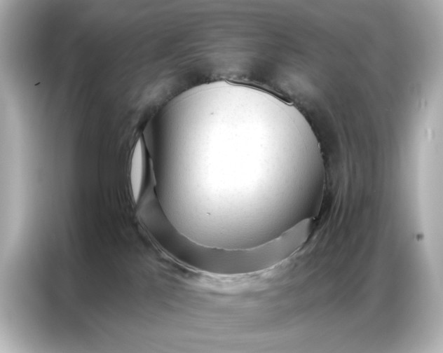 X0000086900041200704301026