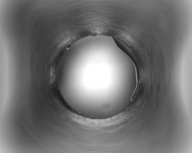 X0000086900043200704301026