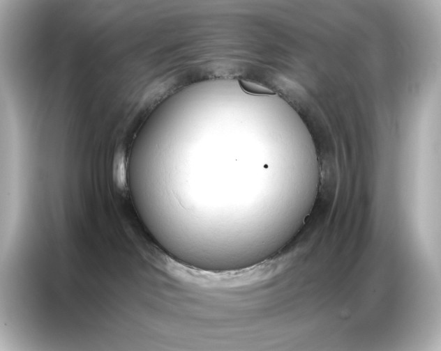 X0000086900046200704301026