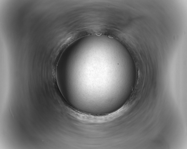 X0000086900048200704301026