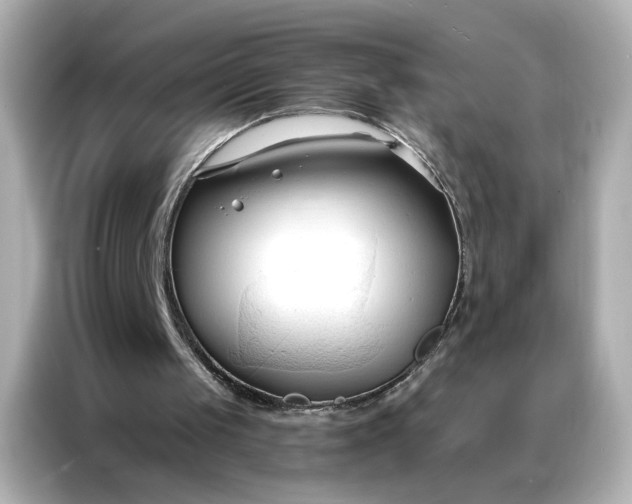 X0000086900049200704301025