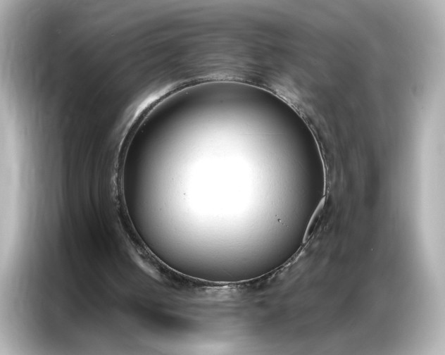 X0000086900050200704301025