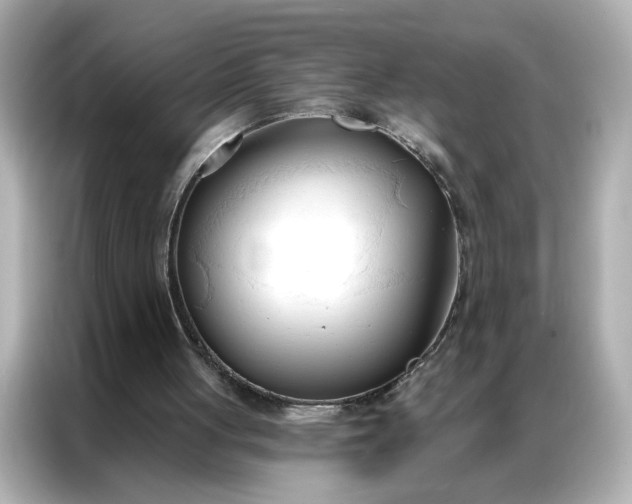 X0000086900051200704301025