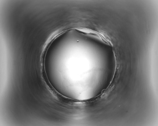 X0000086900053200704301025