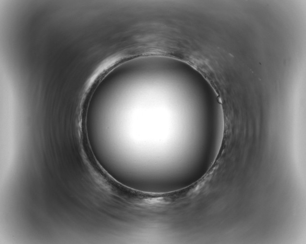 X0000086900054200704301025