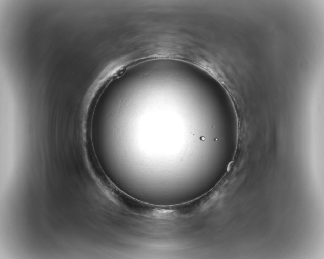 X0000086900055200704301025