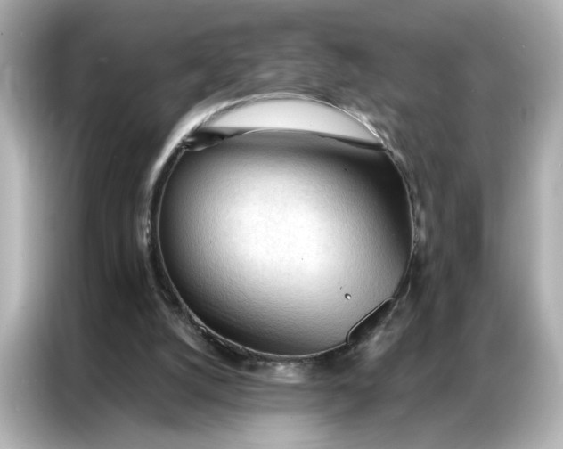 X0000086900056200704301025