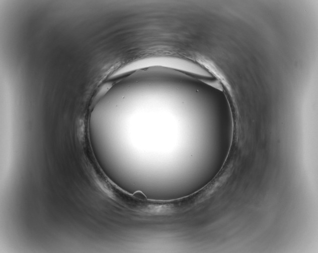 X0000086900057200704301025