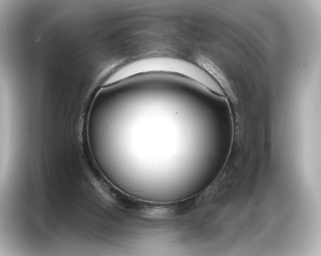 X0000086900058200704301025