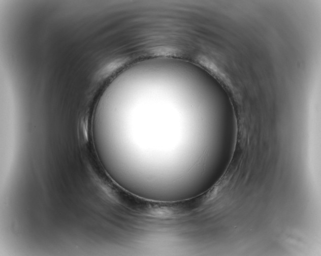 X0000086900062200704301025